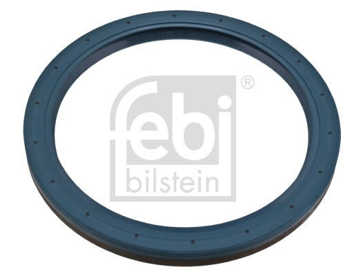 Shaft Seal, wheel hub